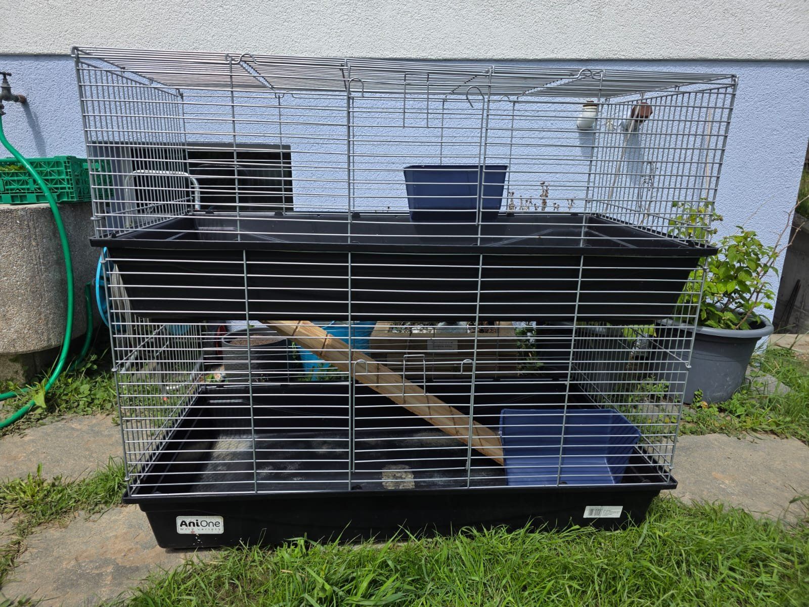 Cages, transport & sécurité: Kleintier- / Nagerkäfig – D'occasion à Wangen an der Aare par pat_2p5v
