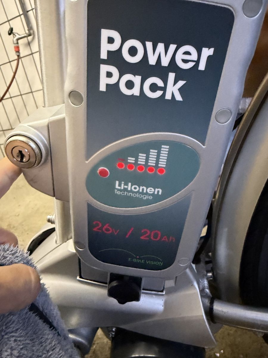 Flyer Biciclette: E-Bike Flyer 3600km / Grösse M – Usato da Schlieren venduto da Dave5699 3