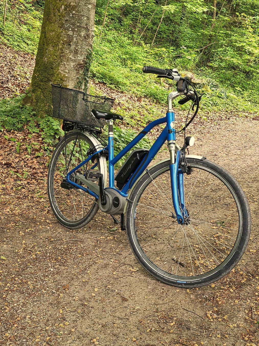 Villiger Biciclette: Villiger Brissago+ E-Bike – Usato da Affoltern am Albis venduto da and_m2zm 8