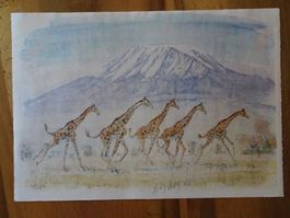 Fritz Hug Giraffen signierte Lithografie