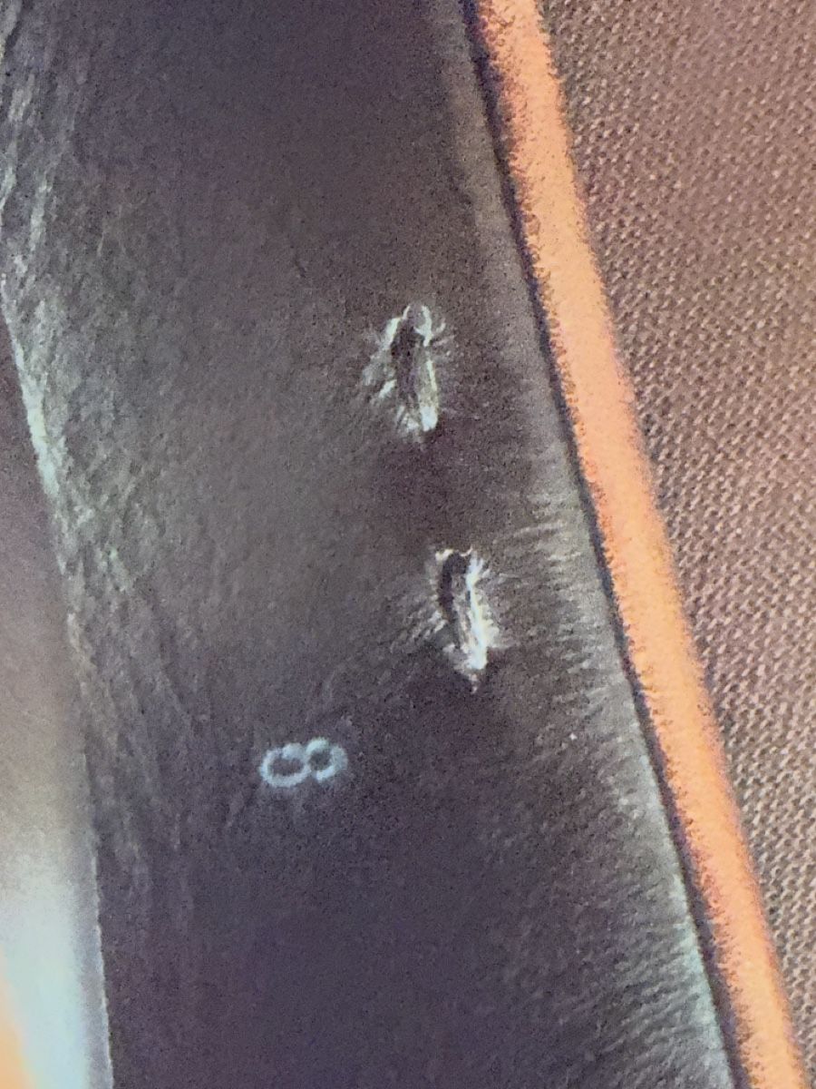 Tod'S Scarpe da uomo: Tod's Mokassins ,braun, Gr.8 – Usato da Kilchberg ZH venduto da Seb92 3