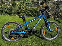 SPECIALIZED FAHRRAD 20 Zoll