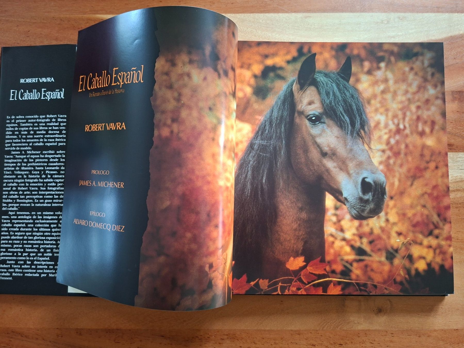 Libri: Robert Vara; Buch "El Caballo Espanol" / Spanische Pferde – Usato da Boniswil venduto da Totomat-Lady2 2
