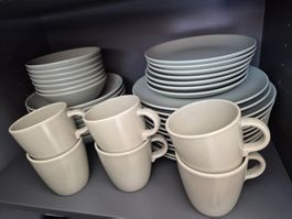 Geschirr set - olive grün
