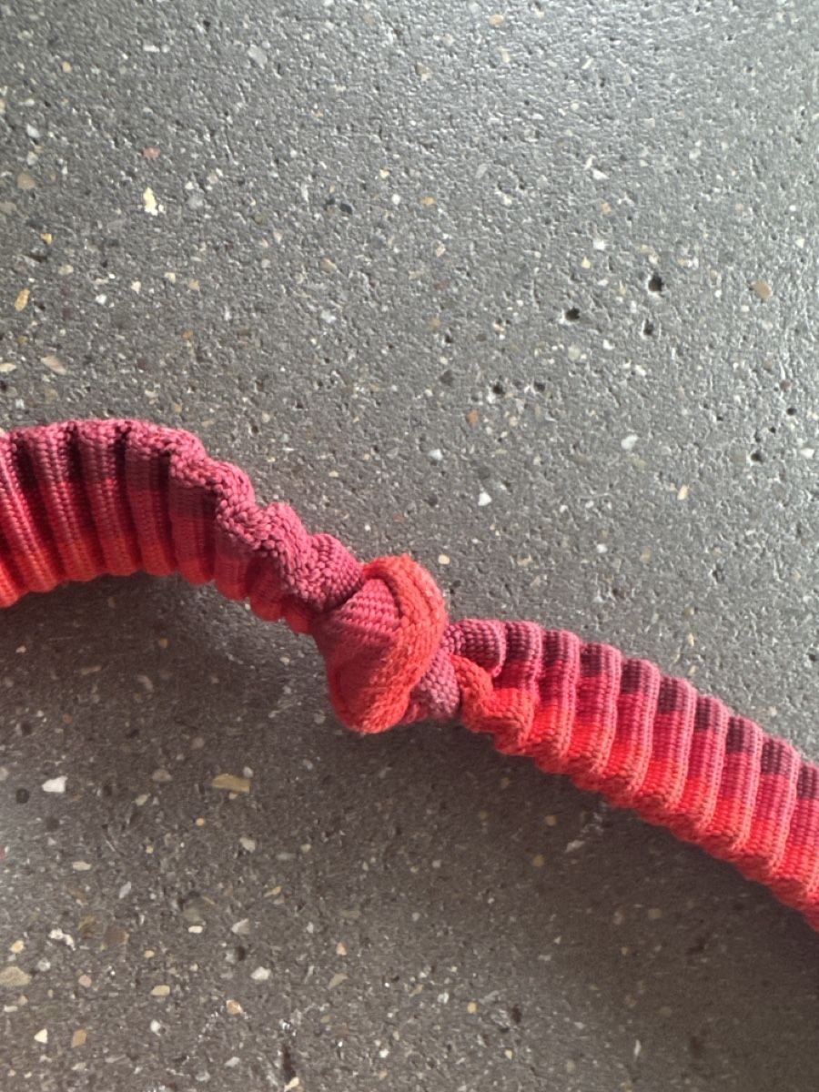 Ruffwear Guinzagli & Collari: Ruffwear Roamer Hundeleine – Usato da Zürich venduto da ivn_pr75 2