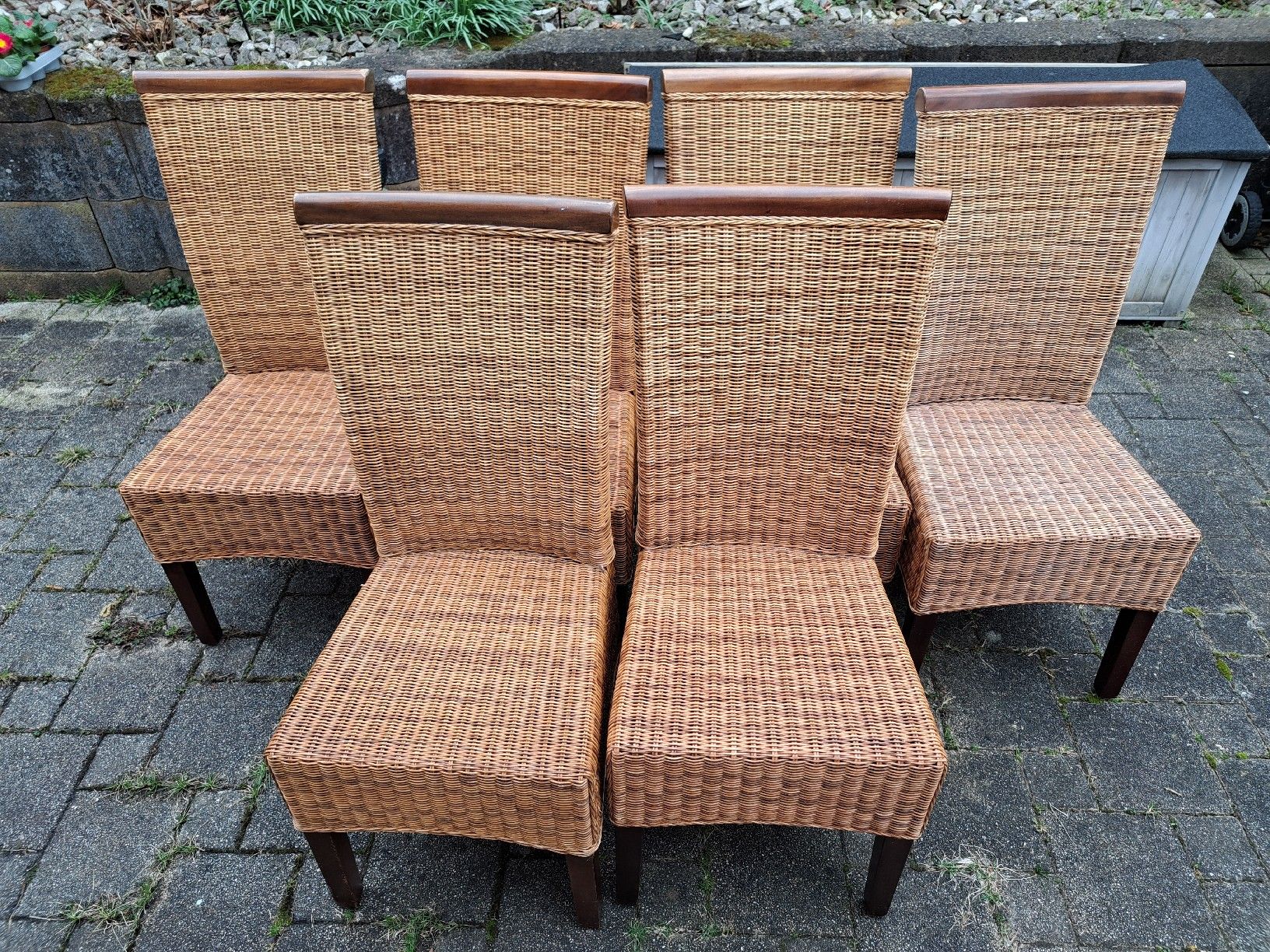 Sedie: 6 Rattan Stühle – Usato da Diegten venduto da Gnoom79
