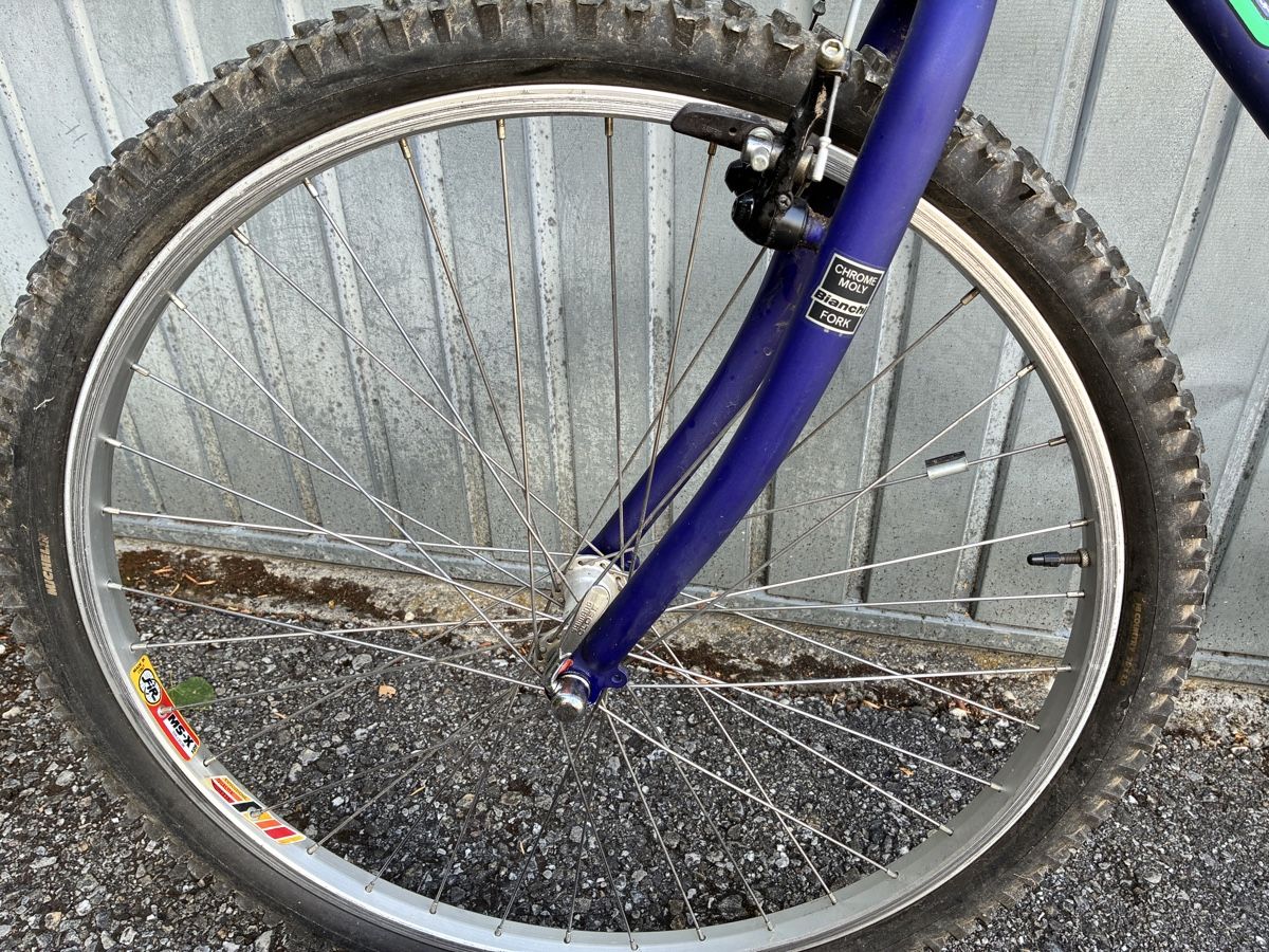 Bianchi Biciclette: Mountainbike Bianchi – Usato da Herzogenbuchsee venduto da filoferro 3