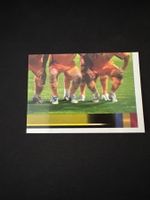 Panini UEFA EM 2008 Sticker - Nr. 310