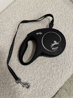 Flexi Classic 8m