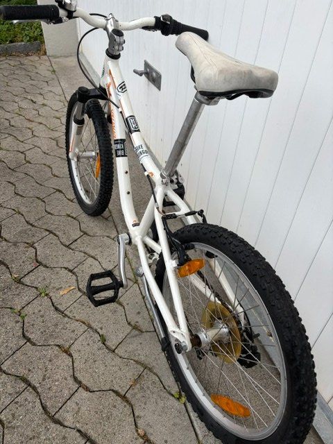 Specialized Biciclette: Specialized Mountainbike Jugend – Usato da Pfaffhausen venduto da salesswiss 6