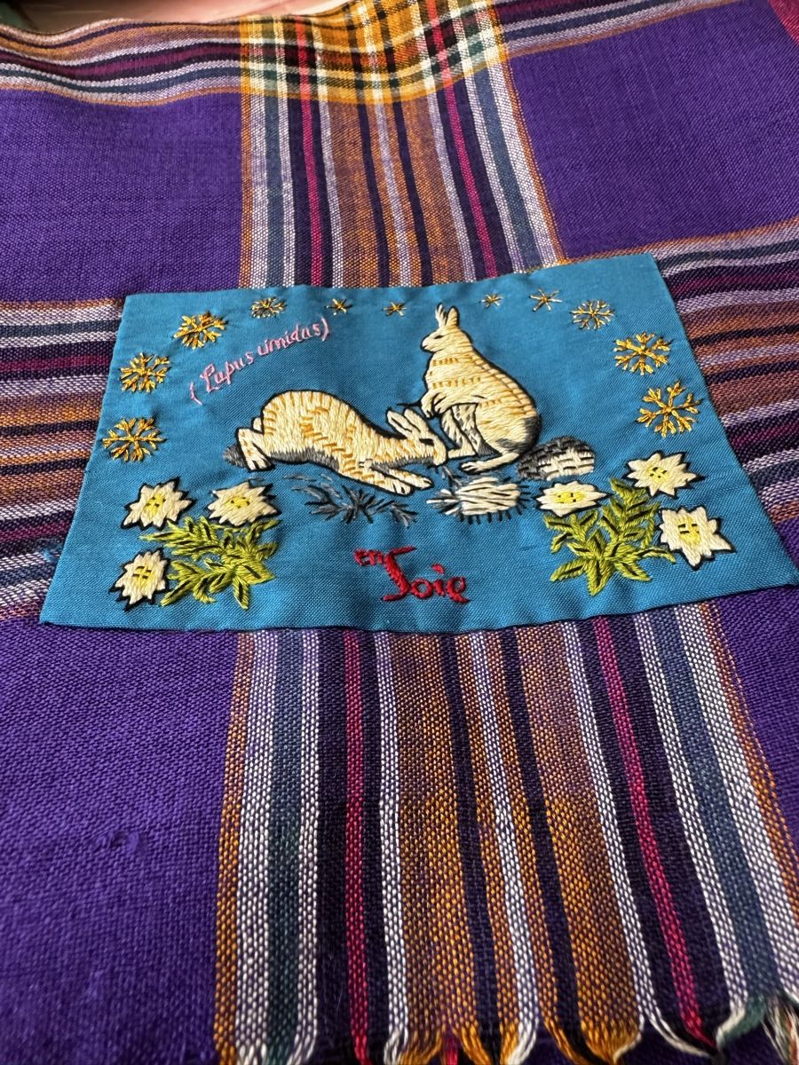 Ensoie Foulard & Sciarpe: Schal en Soie – Usato da Weiningen ZH venduto da petzu 1