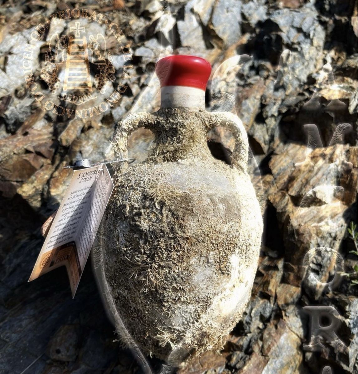 Vino: Vin DO Priorat en amphore 🏺 – Nuovo e nell'imballaggio originale da St-Prex venduto da mar_f6t6 2