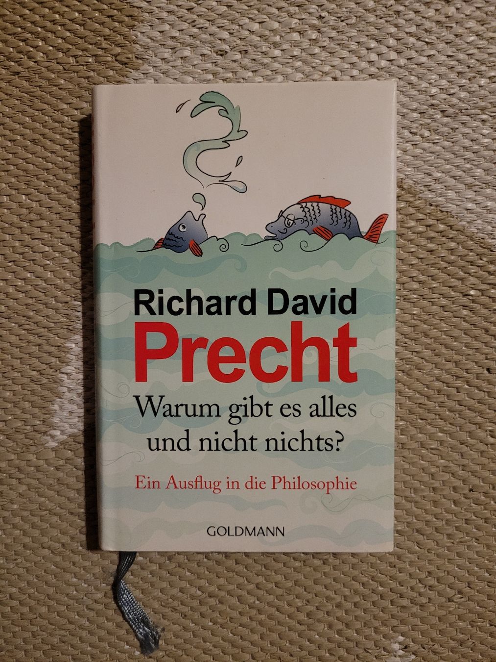 Libri: Richard David Precht - Warum gibt es alles? – Usato da Perlen venduto da Safari_23