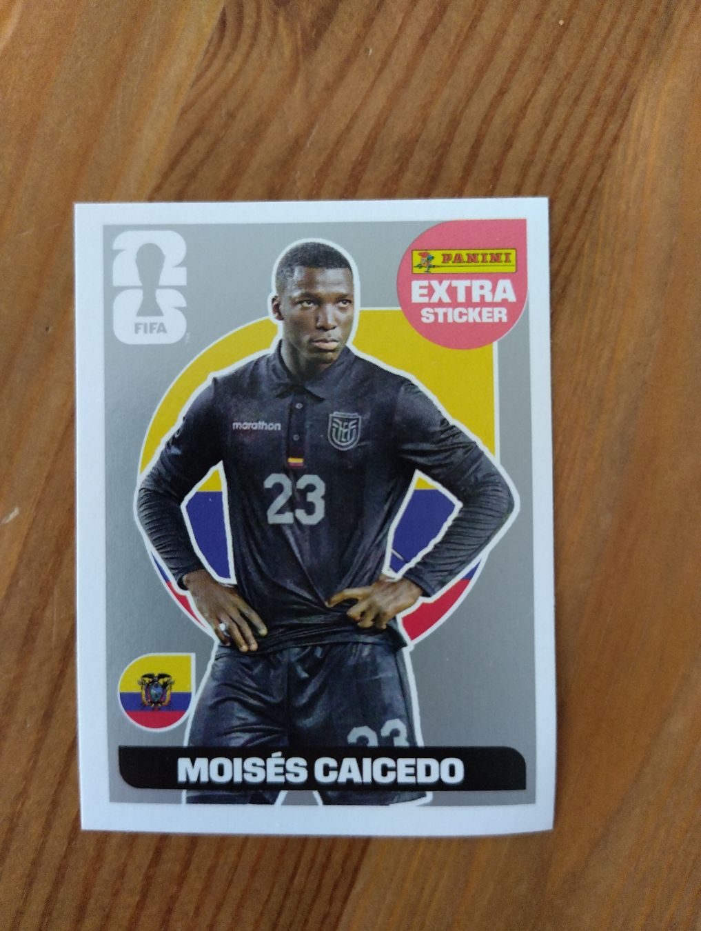 Panini Carte collezionabili: Panini Extra Sticker: Moisés Caicedo silber – Nuovo (secondo la descrizione) da Abtwil SG venduto da kos_ts7c