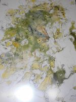 Neue Fundschätze Kunst Lithografie signiert ca 60er jahre  7