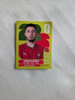 Panini Bild POR 8