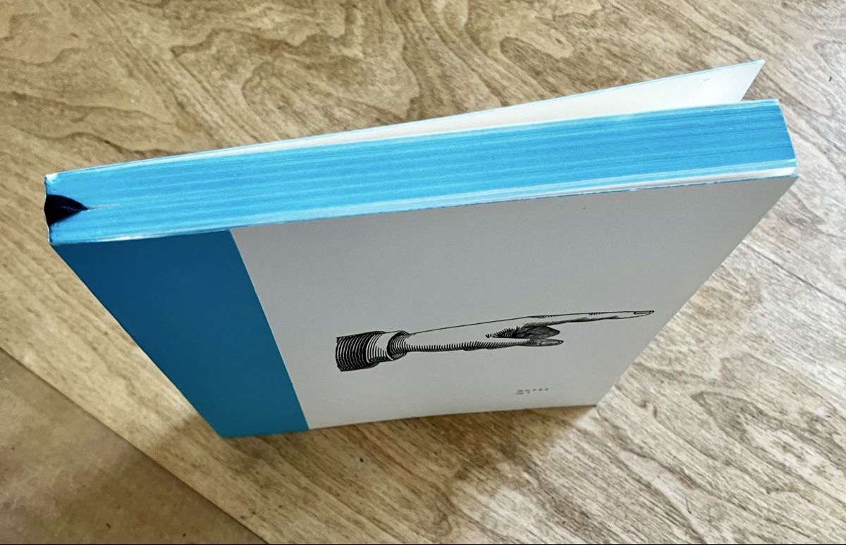 Blocchi: Notizbuch blanko – Nuovo (secondo la descrizione) da Buchs AG venduto da Allerleis 1