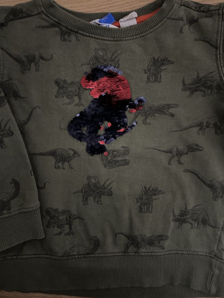Maglioni & Felpe: Cooler Dino Pulli Pullover olivgrün Gr. 98-104 – Usato da Oensingen venduto da katepe 1