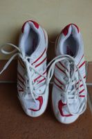 Basket Panther indoor T36
