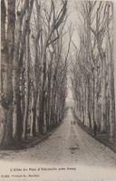 VEVEY - L'Allée du Parc d'Hauteville - 1906