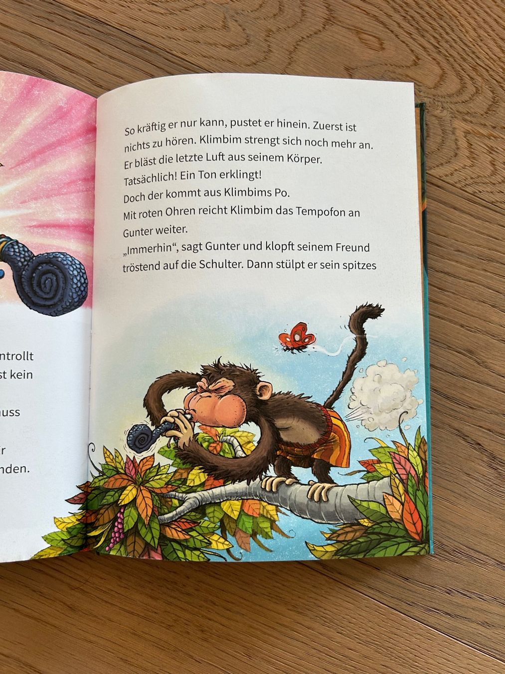 Libri: Buch Rafz & Mimi für ca. 2. Klässler – Usato da Zürich venduto da Aez.01 2
