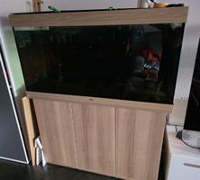 Juwel-Aquarium
