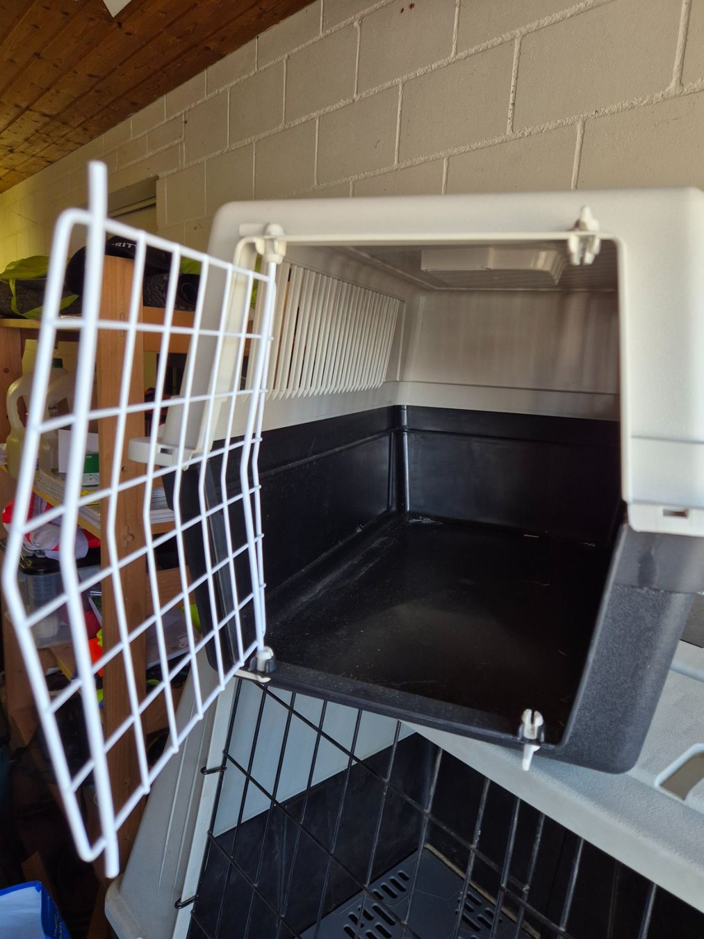 Gabbie, trasporto & Sicurezza: Tiertransportbox – Usato da Büttikon AG venduto da jajeda