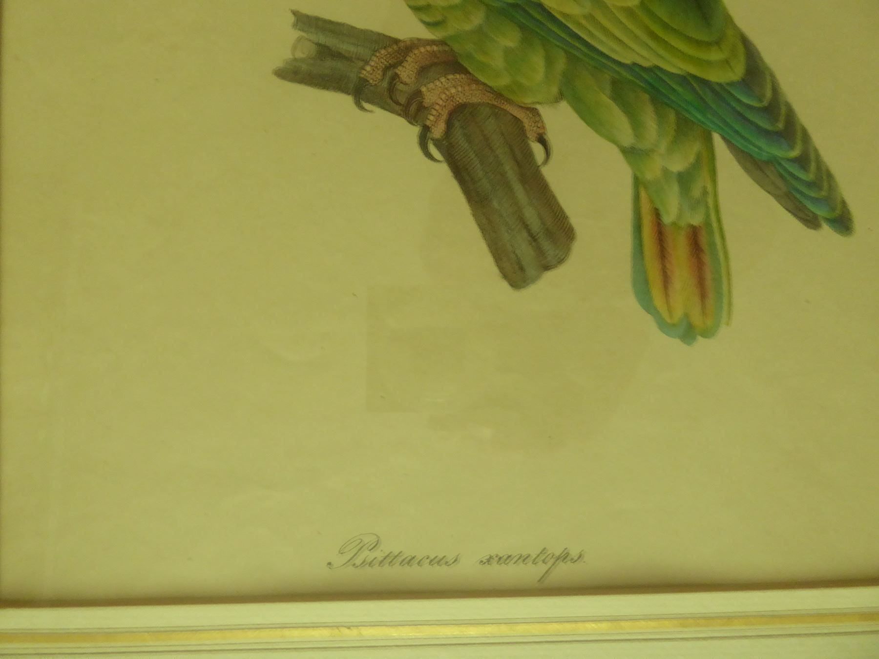 Grafiken & Lithographien: 2 Lithograpie 1842  R. Lapebier – Gebraucht aus Zürich von Chaeffeler 5