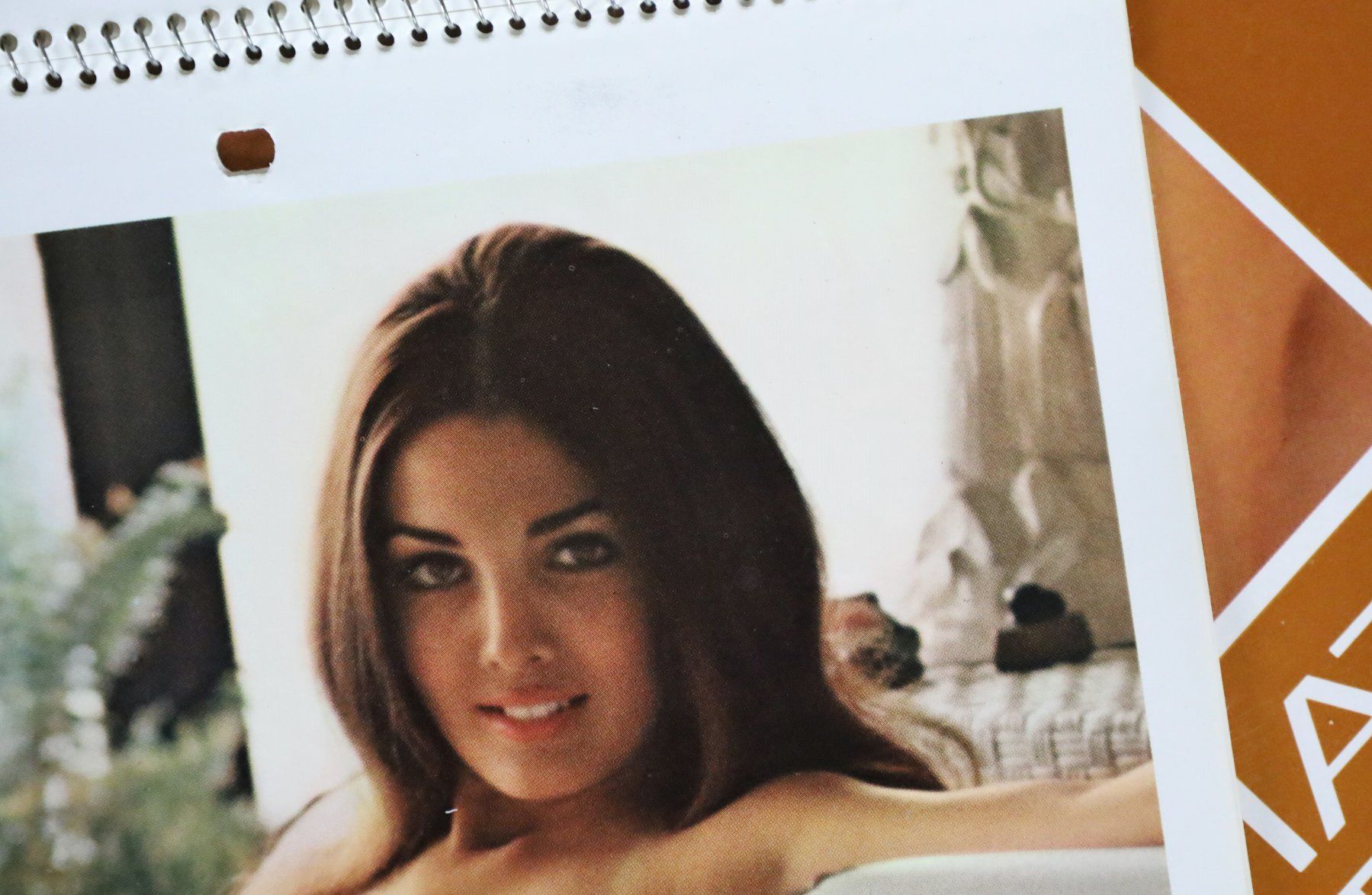 Playboy Calendari: PLAYBOY Kalender 1972 – Usato da Birrwil venduto da brandschatz_birrwil 7