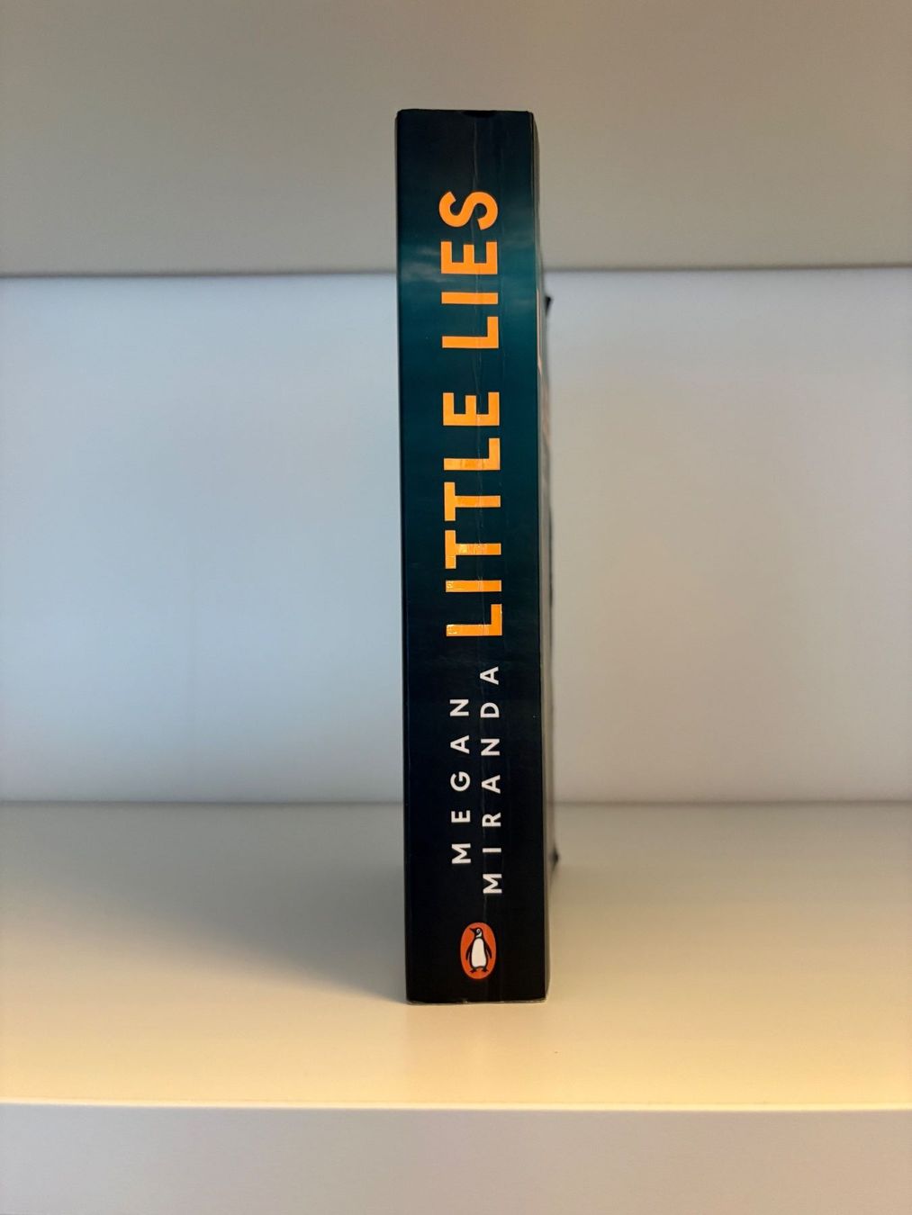 Libri: Little Lies - Megan Miranda – Usato da Steffisburg venduto da elsa.catalina 3