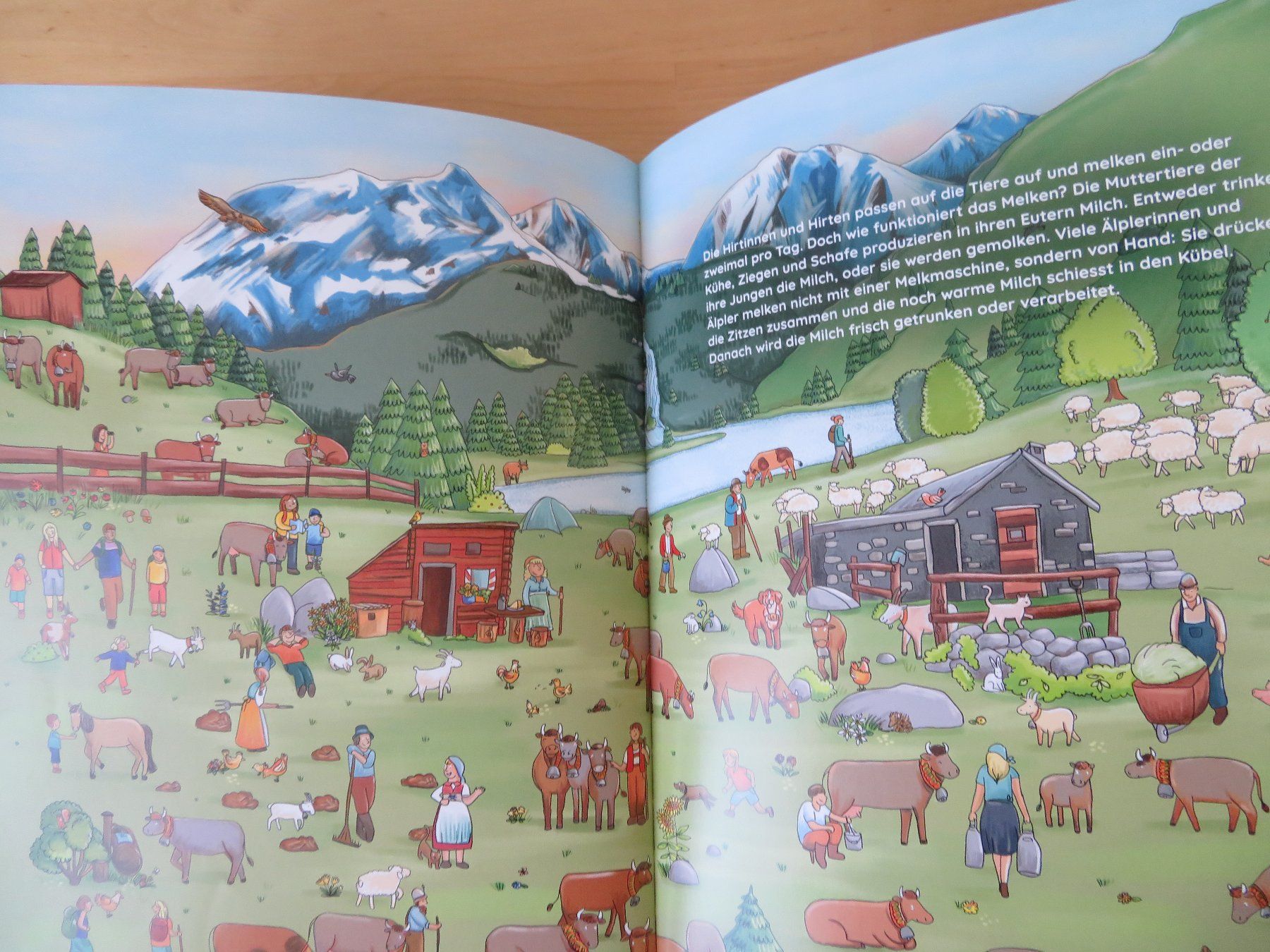 Libri: MEIN WIMMELBUCH "Z`Alp" – Nuovo (secondo la descrizione) da Zürich venduto da piroma 3