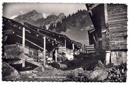 Taveyannaz