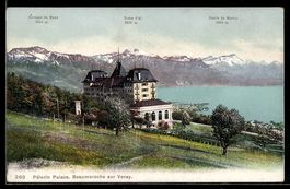 AK Vevey, Pélerin Palace