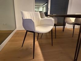 4 Stühle Modell Rhonda von Cattalan Italia