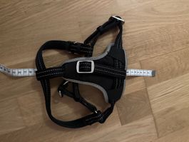 Hunde sicherheits Geschirr 