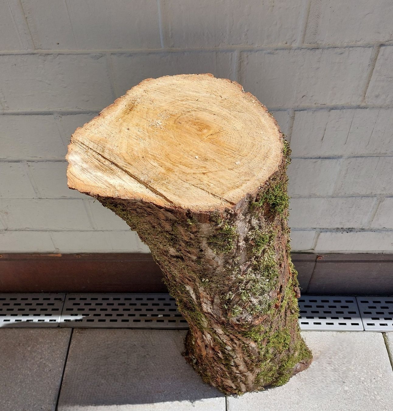 Holzartikel: Holzstamm / Chemine, Deko, Hackstock, Rundholz, Scheitstock – Neu (gemäss Beschreibung) aus Bergdietikon von lop01 7