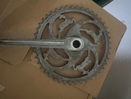 Velo kurbel mit Gazelle