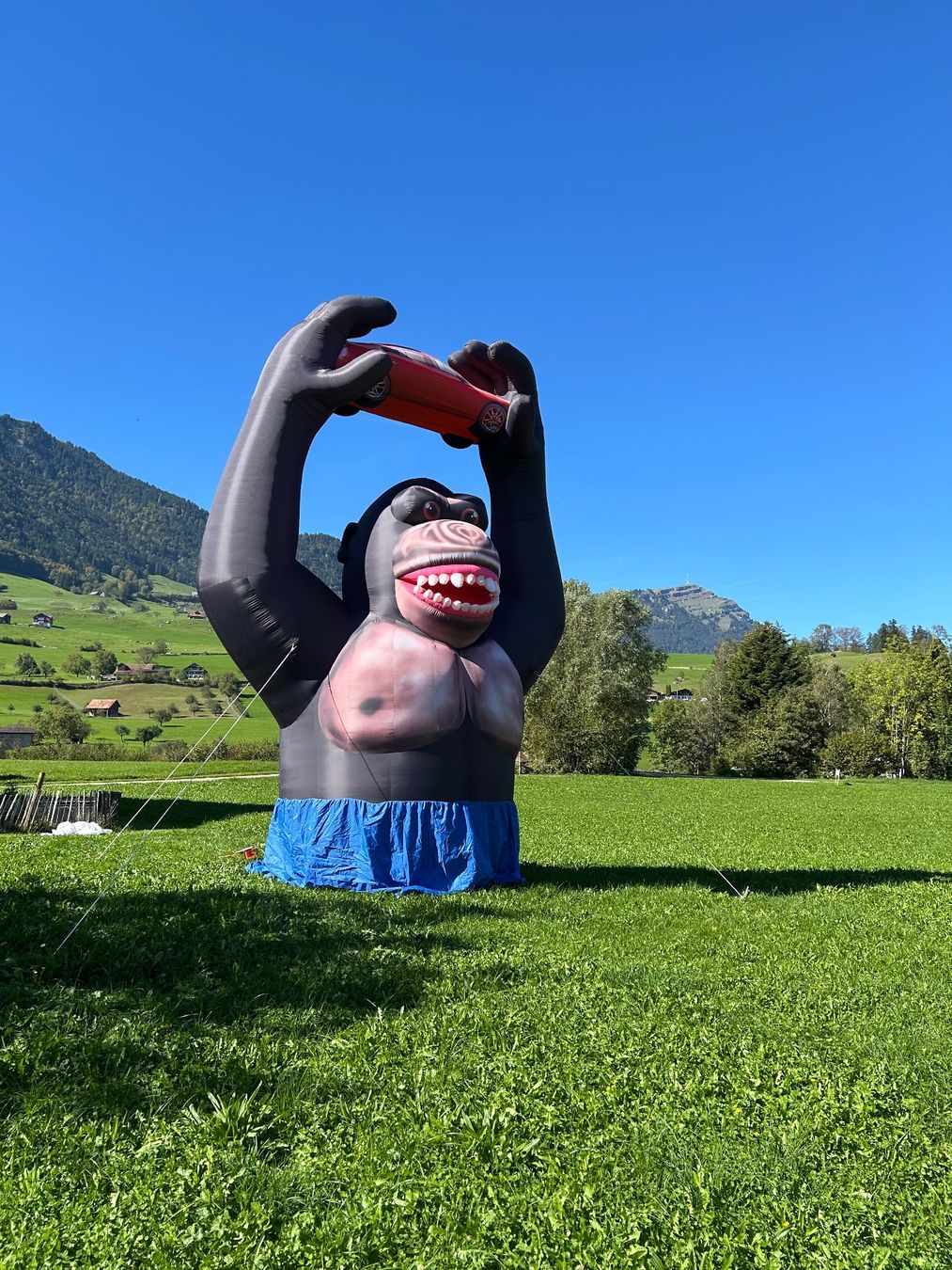 Figuren: Gorilla / King Kong aufblasbar – Gebraucht aus Goldau von Taburettli_Brocante