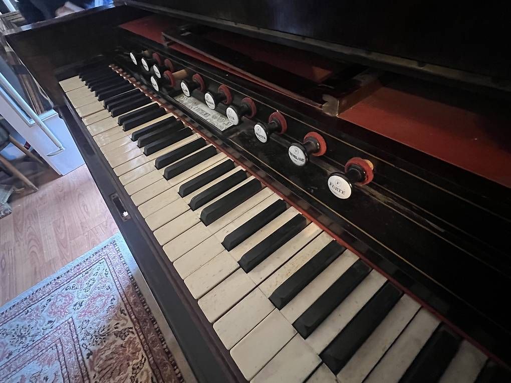 Strumenti musicali: ? Armonium antico C. Riettheimer ? fine ?800 – Usato da Breganzona venduto da eve_v856