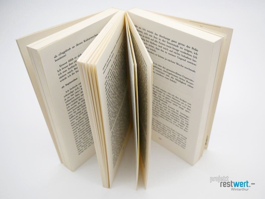 Libri: ALINE GRAF - Niklaus Meienberg – Usato da Winterthur venduto da Restwert_Winterthur 4