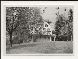 AK 1944 Hotel Halbinsel Au am Zürichsee