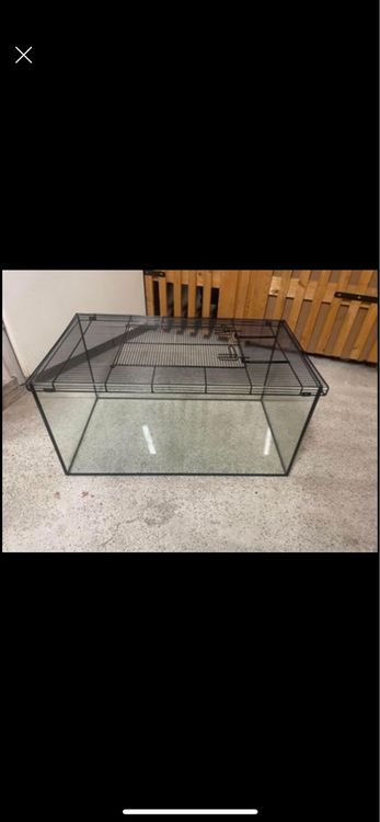 Terrarium aus Glas Kaufen auf Ricardo