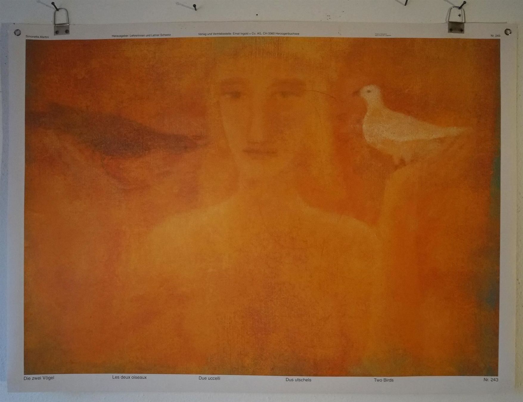 Poster & Bilder: Schulwandbild die zwei Vögel – Gebraucht aus Härkingen von sammelbecken 1