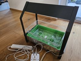 Hydroponics Gewächshaus