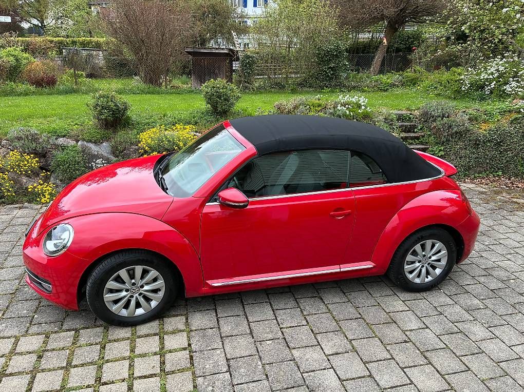 Automobili: Beetle Cabriolet – Usato da Freienstein venduto da Straessler 2