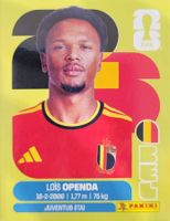 Panini FIFA World Cup BEL 19