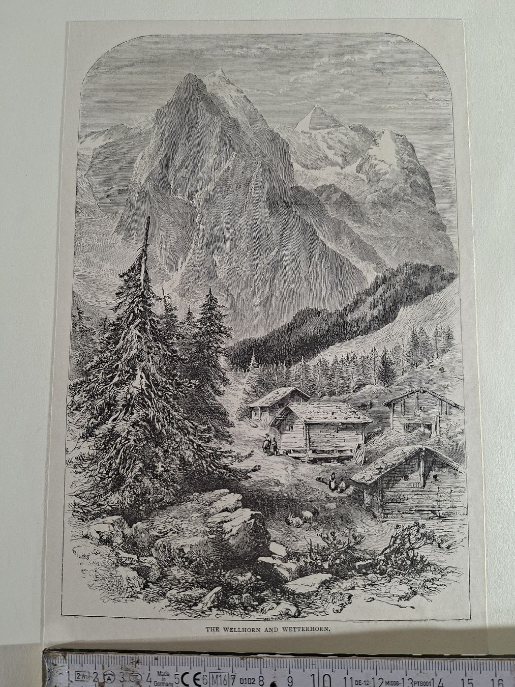 Incisioni: Lot 30 , 5 Stiche  – Usato da Grindelwald venduto da carro5 9