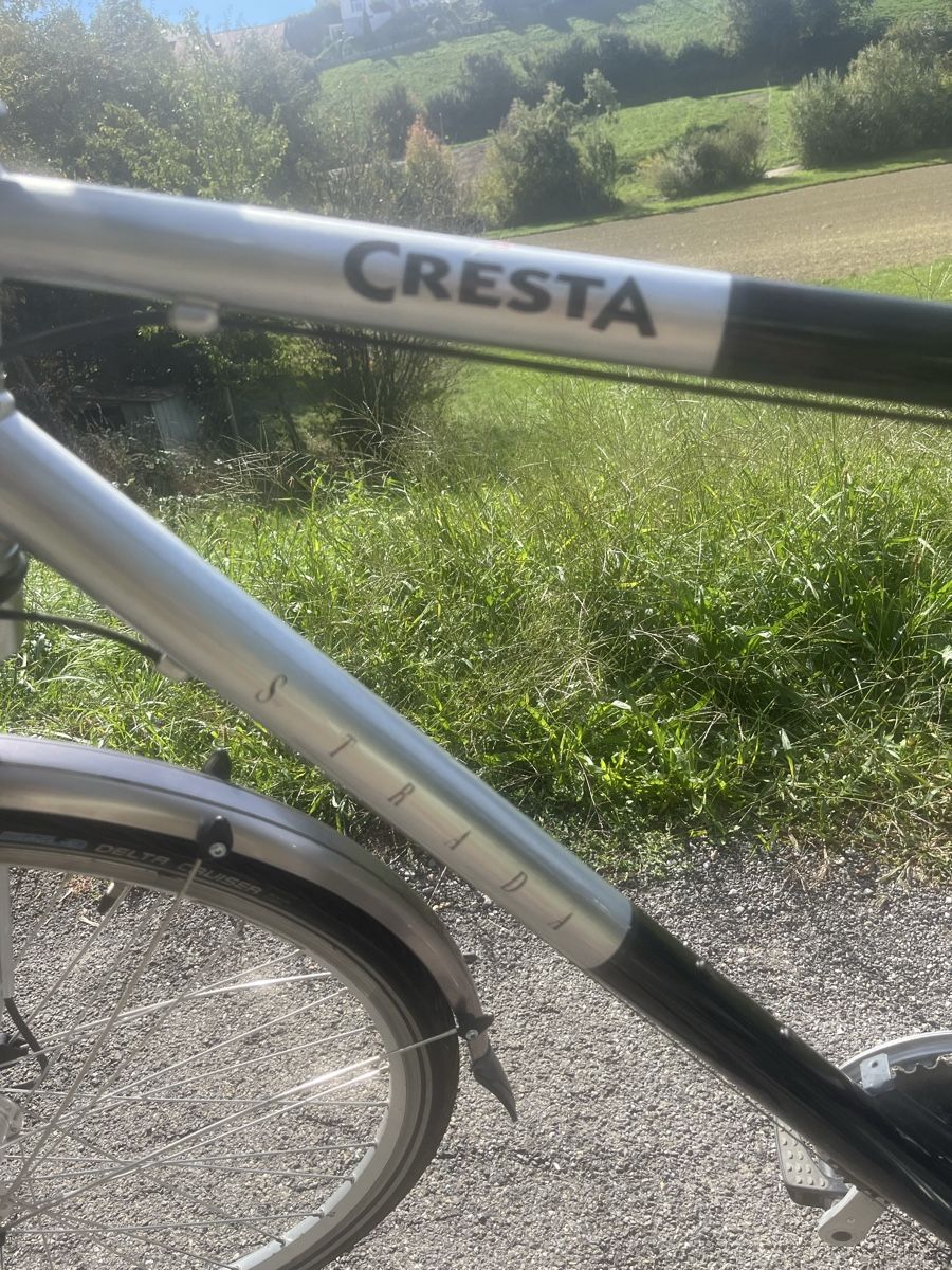 Cresta Biciclette: Cresta Herrenvelo  – Usato da UNTERKULM venduto da Dennizzz 6