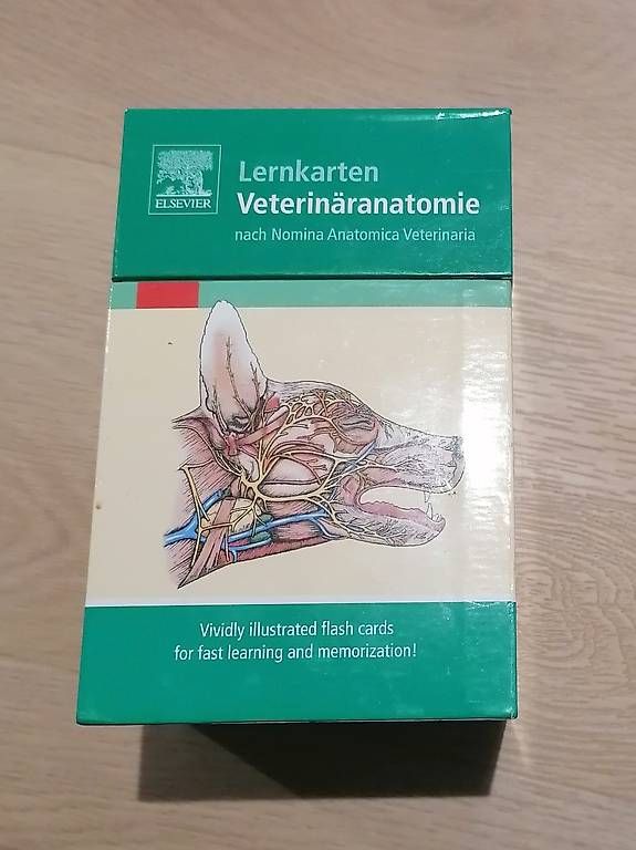 Altro materiale scolastico: Lernkarten Veterinäranatomie Elsevier – Usato da Koppigen venduto da san_k8ny