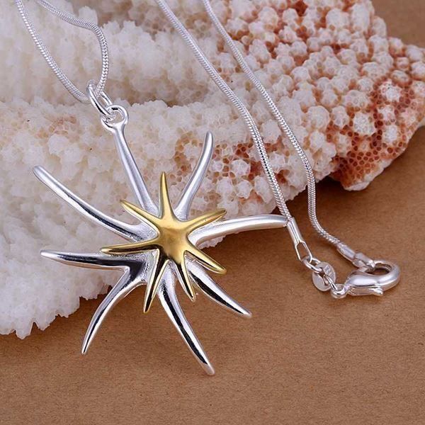 Ketten: Edelweiss Kette versilbert - Schwingfest – Neu und originalverpackt aus Ibach von chaemilochhobbygarte